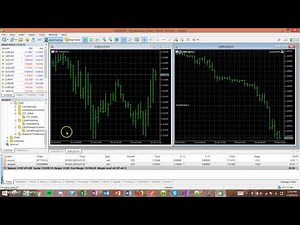How to set up Metatrader 5 (Terminal and Demo Account)
