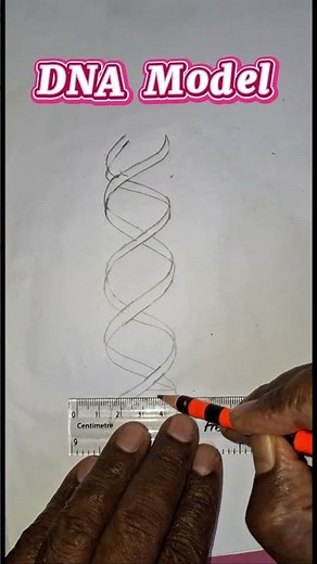 DNA diagram drawing easy | DNA drawing #dna #drawing #dnasample #shortvideo #youtubeshorts #shorts