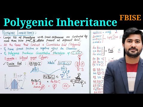 Polygenic inheritance and continuous varying traits FBISE class 12
