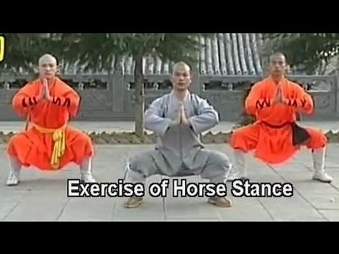 Shaolin Kung Fu basic moves