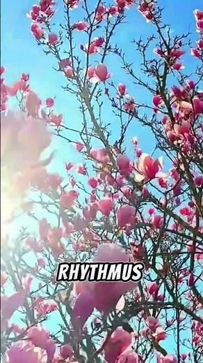 How to prune magnolias correctly: tips and tricks