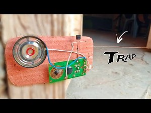 Protect Your Home with This Simple DIY Security System