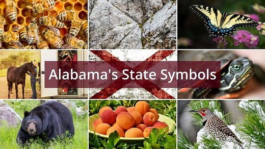 What are the Alabama State Symbols? - Foreign USA