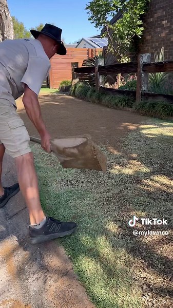 Buffalo Lawn Renovation Guide: Dethatching, Aerating, Topdressing & More