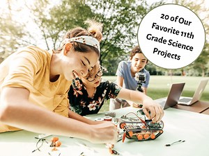 11th Grade Science Projects: 20 Ideas, Experiments, DIYs, Investigations, And More - Teaching Expertise