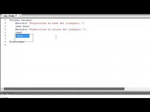 PSeInt: Assign