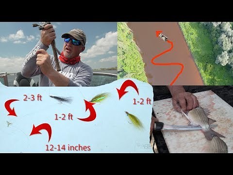 How to Pull Flies For Whitebass/Walleyes (Winnebago System Technique)