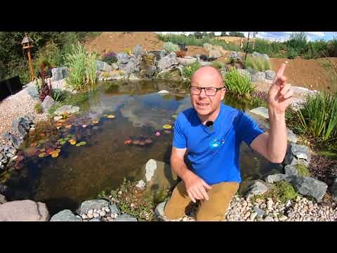 Beginners guide to pondless waterfall construction - Part 2
