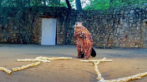 329K views · 3.4K reactions | After years of our fans asking for...