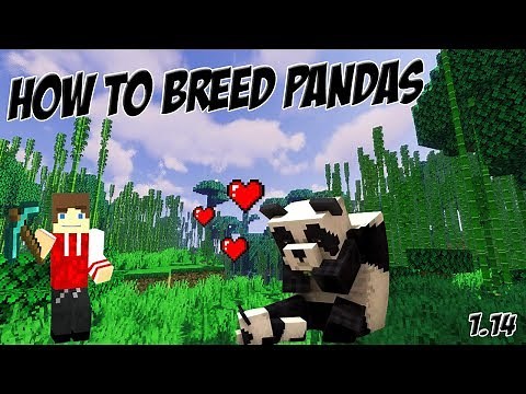 How to Breed Pandas in Minecraft