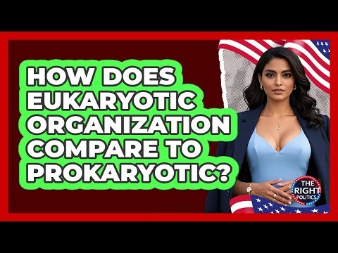 How Does Eukaryotic Organization Compare To Prokaryotic?