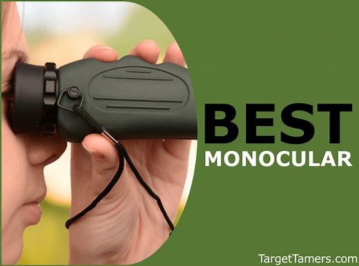14 Best Monoculars 2025: Reviews for ALL Budgets/Activities