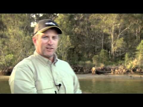 How to use - Storm WildEye Swim Shad