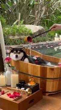 ASMR Tony – Into Nature Series Immersive Spa & Bath