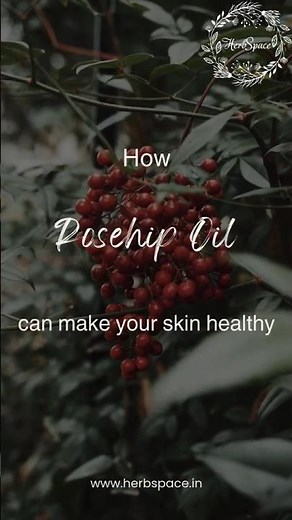 How to use Rosehip Oil for Face