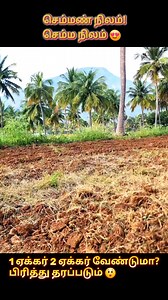 14K views · 328 reactions |  Prime Farmland for Sale – 4 Acres in...
