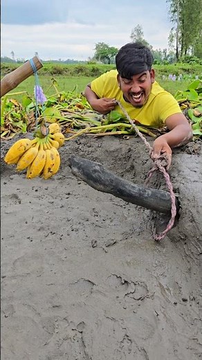 Method of catching snakes with banana #usa #usashorts