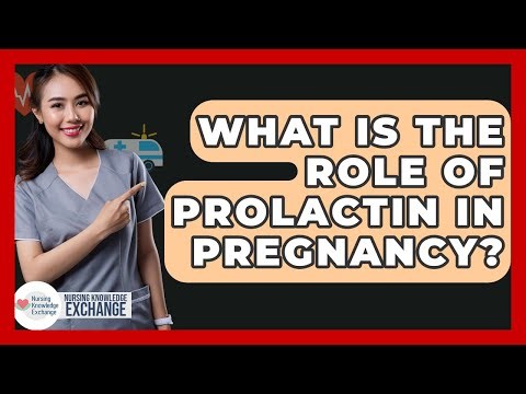 What Is The Role Of Prolactin In Pregnancy? - Nursing Knowledge Exchange