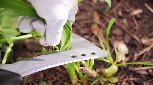 Take back your backyard. Introducing our new garden tools! | Fiskars