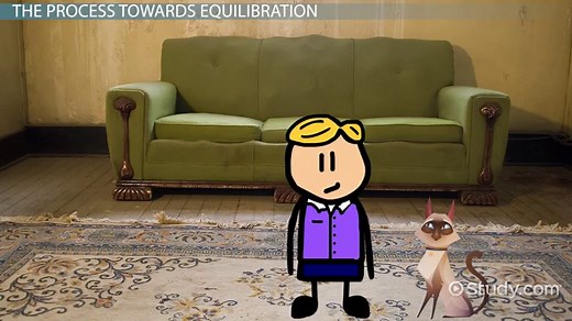 Equilibration Theory by Piaget | Definition, Process & Examples