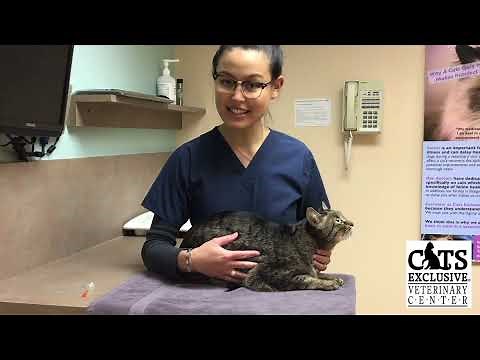 How to Administer Subcutaneous Injections