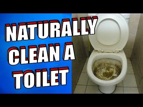 How To Clean a Toilet using Baking Soda and Vinegar