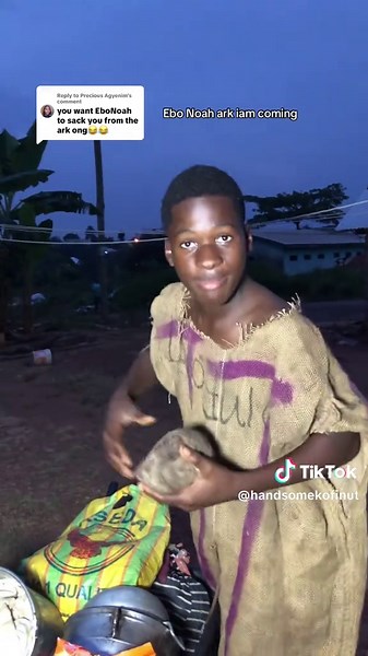 Ebo Noah Ark: The Fun Side of Noah's Ark