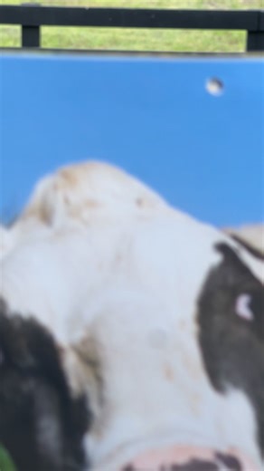 Shop Your View 🪟 2026 Calendars Are Here! | Calendars.com