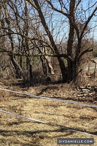 How to Clear Land: A Beginner’s Guide to Clearing Property