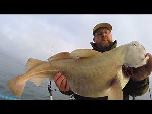 Giant Cod Fishing - Catch and Cook - Fish and Chips