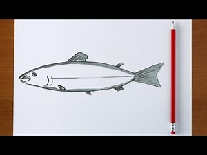 How to Draw a Salmon Fish | Step-by-Step Tutorial for Beginners
