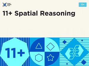 11  Spatial Reasoning | Targeted Online Questions & Video Tutorials