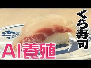 【くら寿司の裏側】人気メニューから業界初の“AI養殖”まで･･･魚体が大きく環境面でもメリット