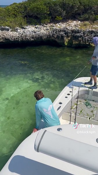 How to Catch Bait in the Bahamas #bait #fishing #bahamas #outdoors #castnet