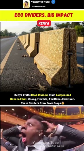 The Road Divider Made From Bananas 😳🌱