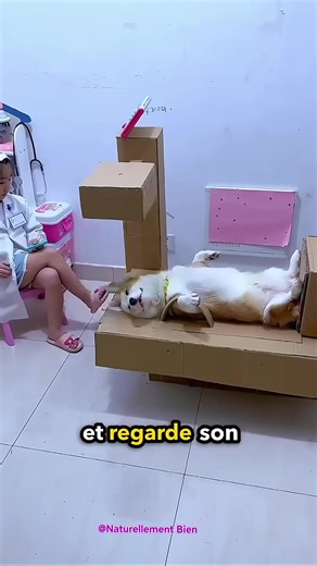 Une petite fille qui joue à la médecin et examine son chien avec un scanner en carton : un moment adorable et plein de tendresse ! 💖 Description : "Quand l’imagination prend le dessus, les jouets se transforment en outils extraordinaires ! 😍 Regardez cette petite fille soigner son chien avec son scanner en carton, un moment d’amour et de créativité qui réchauffe le cœur. Un joli rappel que l’imagination n’a pas de limites ! 🐶❤️👧 #enfants #tendresse #imagination #jeu #chien #Scanner #carton #