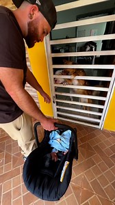 22K views · 2K reactions | A nossa rotina não é mais a mesma com a chegada do Ryan 浪 E os sabores de True Meats também não, já que agora os petiscos naturais da True contam com uma linha ainda mais completa com novos sabores e disponíveis para cães e gatos.  Corre aproveitar, pq quem prova True não quer saber de outra coisa 襤 Os produtos True estão disponíveis no app, site e loja física da @Petlove Brasil. CUPOM: 30MEATS | Shiro pit | Facebook