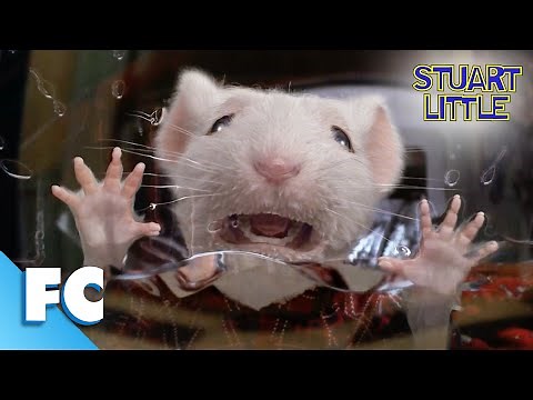 Stuart Little: Stuart Gets Stuck In The Washing Machine | Full Comedy Adventure Movie Clip | FC