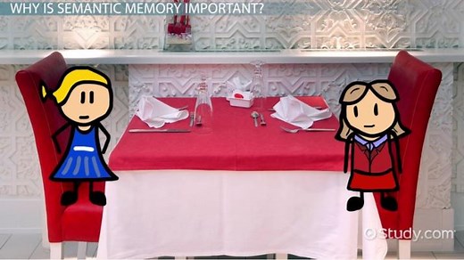 Semantic Memory | Examples of Processing & Encoding