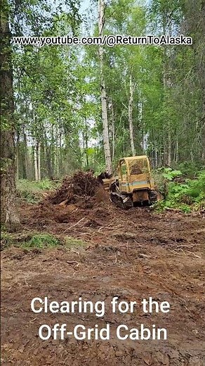 Clearing Land for the Off-Grid Cabin 🚜🌲 #alaska