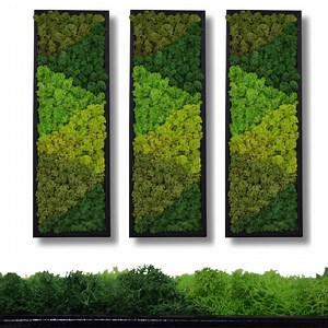 Preserved Moss Wall Art: Natural Green Eco-friendly Home Decor - Etsy