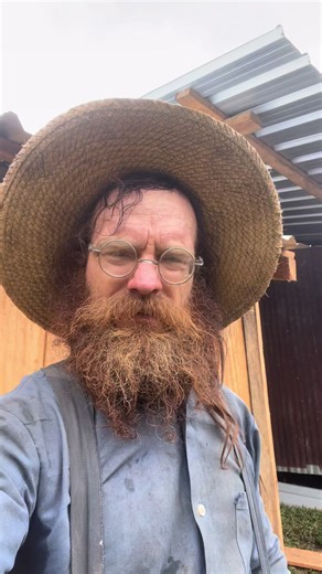 Homestead entertainment #offgrid #homesteadfamily #chicks #chicken #animals