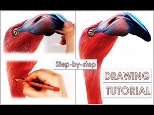 How to Draw a Flamingo | Step-by-Step Tutorial
