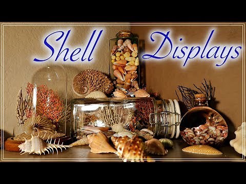 Making Seashell Displays