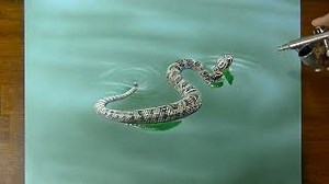 Drawing a Rattlesnake 3D ARTatte. Learn my drawing technique with 80 courses: https://www.marcellobarenghi.net/tutorials | Marcello Barenghi - Illustrator