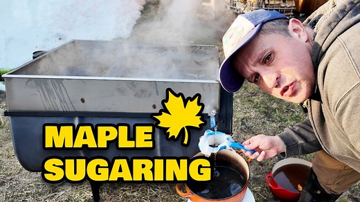Complete Guide to Making Maple Syrup from Tree to Table