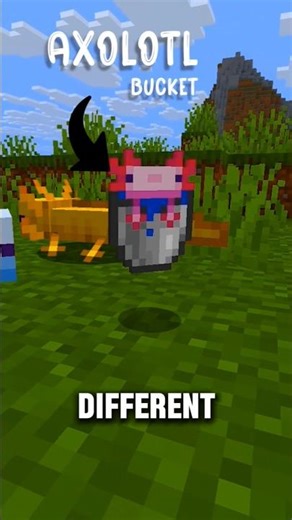 Minecraft Axolotl Bucket Has a Hidden Name 🤯 #minecraft #shorts