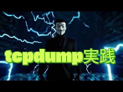 【tcpdump】漆黒の運び屋【Wizard of Hiro】