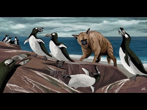 Great Auk: The Original Penguin