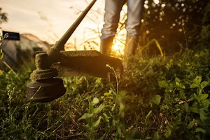 The Best Trimmer Strings of 2025